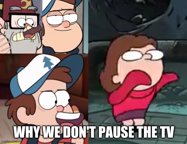 Why we don't pause the TV | WHY WE DON'T PAUSE THE TV | image tagged in gravity falls | made w/ Imgflip meme maker
