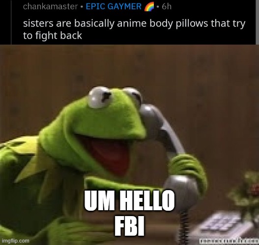 UM HELLO
FBI | image tagged in kermit the frog at phone | made w/ Imgflip meme maker