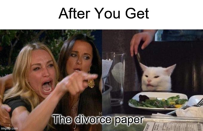 Woman Yelling At Cat | After You Get; The divorce paper | image tagged in memes,woman yelling at cat | made w/ Imgflip meme maker