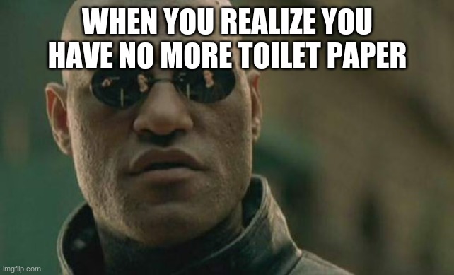 Matrix Morpheus Meme | WHEN YOU REALIZE YOU HAVE NO MORE TOILET PAPER | image tagged in memes,matrix morpheus | made w/ Imgflip meme maker