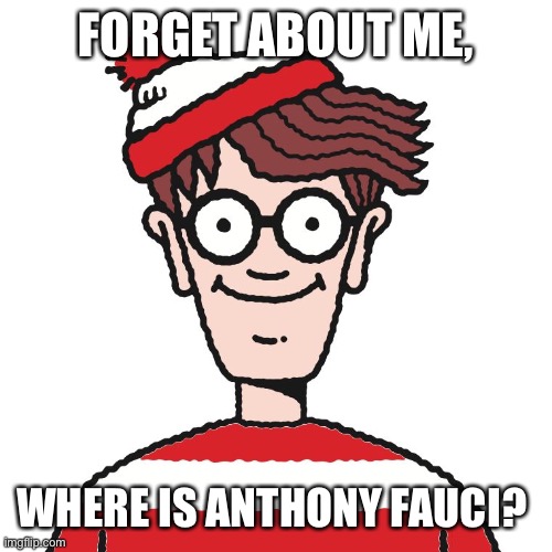Where's Waldo | FORGET ABOUT ME, WHERE IS ANTHONY FAUCI? | image tagged in where's waldo | made w/ Imgflip meme maker