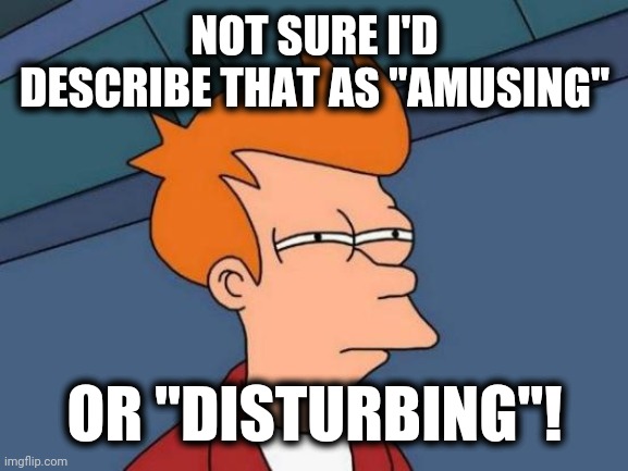 Futurama Fry Meme | NOT SURE I'D DESCRIBE THAT AS "AMUSING" OR "DISTURBING"! | image tagged in memes,futurama fry | made w/ Imgflip meme maker