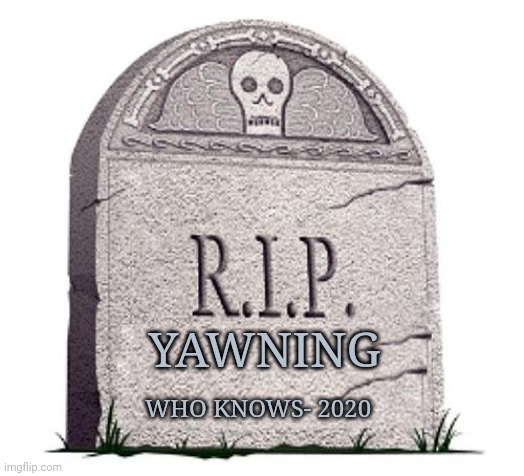 RIP | YAWNING; WHO KNOWS- 2020 | image tagged in rip | made w/ Imgflip meme maker
