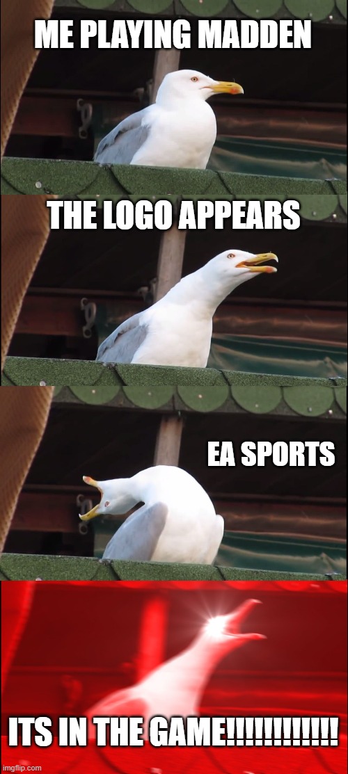Inhaling Seagull | ME PLAYING MADDEN; THE LOGO APPEARS; EA SPORTS; ITS IN THE GAME!!!!!!!!!!!! | image tagged in memes,inhaling seagull | made w/ Imgflip meme maker