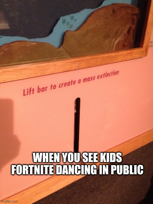 WHEN YOU SEE KIDS FORTNITE DANCING IN PUBLIC | image tagged in memes | made w/ Imgflip meme maker