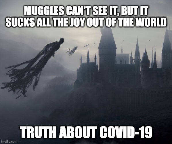 Dementor | MUGGLES CAN'T SEE IT, BUT IT SUCKS ALL THE JOY OUT OF THE WORLD; TRUTH ABOUT COVID-19 | image tagged in dementor | made w/ Imgflip meme maker