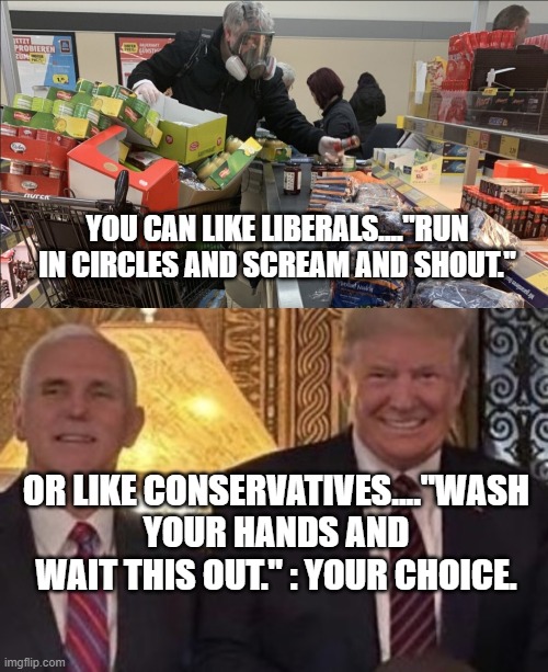 politics | YOU CAN LIKE LIBERALS...."RUN IN CIRCLES AND SCREAM AND SHOUT."; OR LIKE CONSERVATIVES...."WASH YOUR HANDS AND WAIT THIS OUT." : YOUR CHOICE. | image tagged in political meme | made w/ Imgflip meme maker