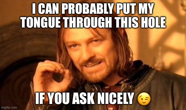 One Does Not Simply | I CAN PROBABLY PUT MY TONGUE THROUGH THIS HOLE; IF YOU ASK NICELY 😉 | image tagged in memes,one does not simply | made w/ Imgflip meme maker
