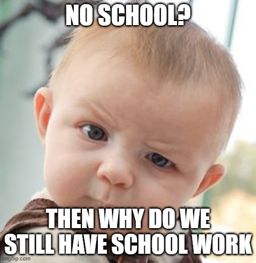 Skeptical Baby Meme | NO SCHOOL? THEN WHY DO WE STILL HAVE SCHOOL WORK | image tagged in memes,skeptical baby | made w/ Imgflip meme maker