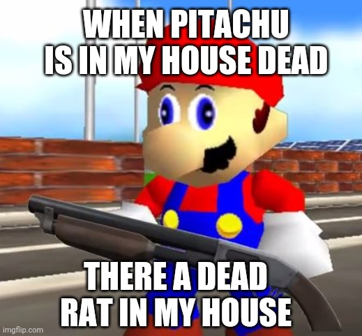 SMG4 Shotgun Mario | WHEN PITACHU IS IN MY HOUSE DEAD; THERE A DEAD RAT IN MY HOUSE | image tagged in smg4 shotgun mario | made w/ Imgflip meme maker