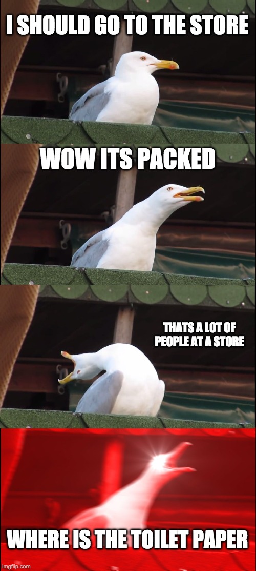 Inhaling Seagull Meme | I SHOULD GO TO THE STORE; WOW ITS PACKED; THATS A LOT OF PEOPLE AT A STORE; WHERE IS THE TOILET PAPER | image tagged in memes,inhaling seagull | made w/ Imgflip meme maker