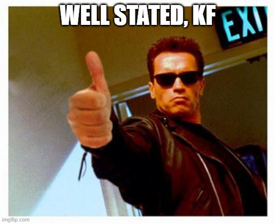 terminator thumbs up | WELL STATED, KF | image tagged in terminator thumbs up | made w/ Imgflip meme maker