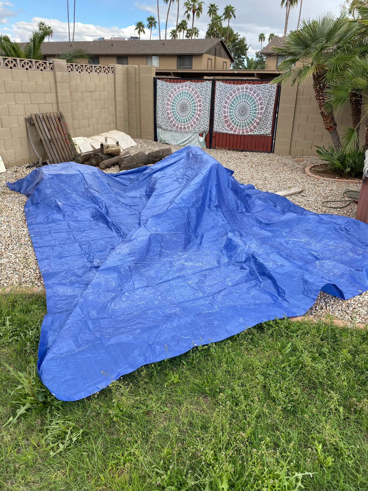 Social Distancing Tarp Tour Blank Meme Template