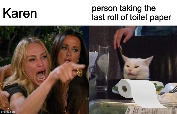 Woman Yelling At Cat Meme | Karen; person taking the last roll of toilet paper | image tagged in memes,woman yelling at cat | made w/ Imgflip meme maker
