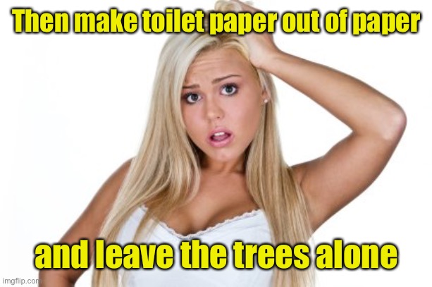 Dumb Blonde | Then make toilet paper out of paper and leave the trees alone | image tagged in dumb blonde | made w/ Imgflip meme maker