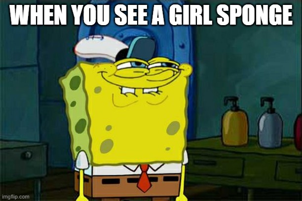 Don't You Squidward | WHEN YOU SEE A GIRL SPONGE | image tagged in memes,dont you squidward | made w/ Imgflip meme maker