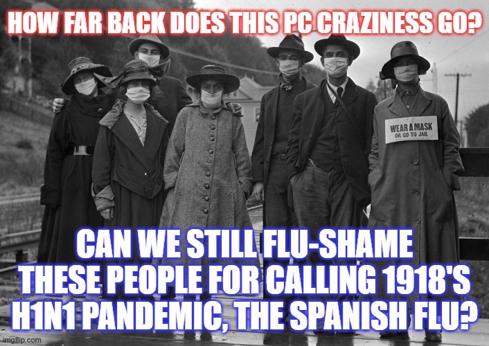 Apparently, the Spanish flu did not actually come from Spain. Maybe the PC snowflakes are right??? | image tagged in political correctness,spanish flu,covid-19,coronavirus | made w/ Imgflip meme maker