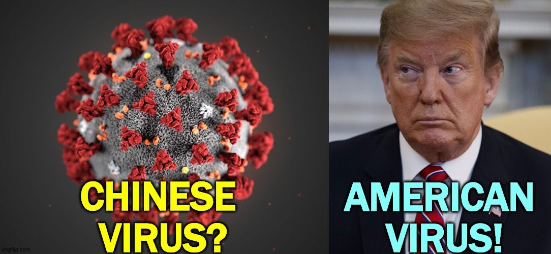 Diseases come in all kinds of shapes and sizes. | CHINESE 
VIRUS? AMERICAN 
VIRUS! | image tagged in coronavirus,covid-19,trump,disease,virus,illness | made w/ Imgflip meme maker