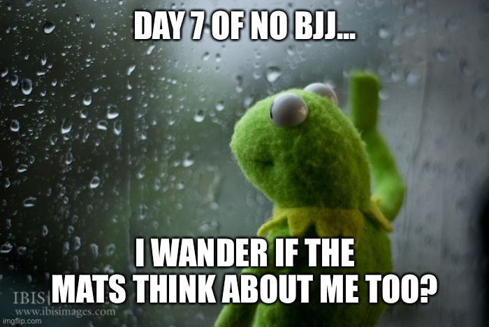 kermit window | DAY 7 OF NO BJJ... I WANDER IF THE MATS THINK ABOUT ME TOO? | image tagged in kermit window | made w/ Imgflip meme maker