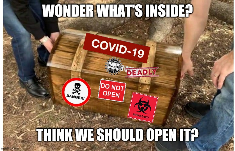 Follow simple instructions | WONDER WHAT'S INSIDE? THINK WE SHOULD OPEN IT? | image tagged in memes,funny memes,coronavirus | made w/ Imgflip meme maker