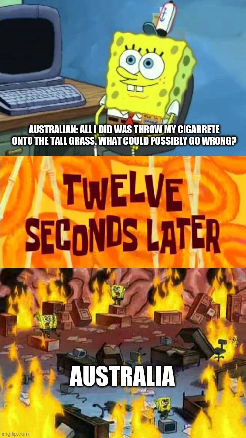 spongebob office rage | AUSTRALIAN: ALL I DID WAS THROW MY CIGARRETE ONTO THE TALL GRASS. WHAT COULD POSSIBLY GO WRONG? AUSTRALIA | image tagged in spongebob office rage | made w/ Imgflip meme maker
