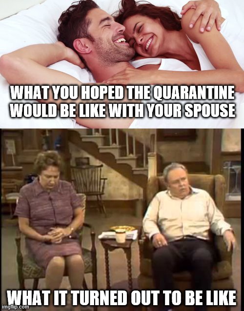 WHAT YOU HOPED THE QUARANTINE WOULD BE LIKE WITH YOUR SPOUSE; WHAT IT TURNED OUT TO BE LIKE | image tagged in coronavirus | made w/ Imgflip meme maker