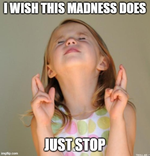 I wish | I WISH THIS MADNESS DOES JUST STOP | image tagged in i wish | made w/ Imgflip meme maker