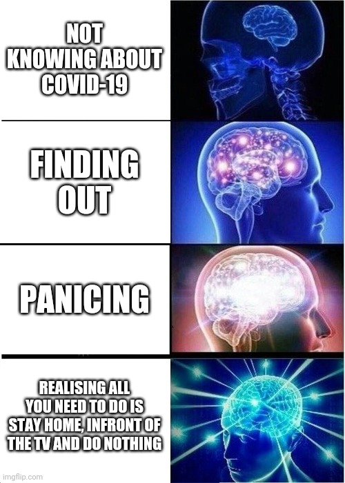 Expanding Brain Meme | NOT KNOWING ABOUT COVID-19; FINDING OUT; PANICING; REALISING ALL YOU NEED TO DO IS STAY HOME, INFRONT OF THE TV AND DO NOTHING | image tagged in memes,expanding brain | made w/ Imgflip meme maker