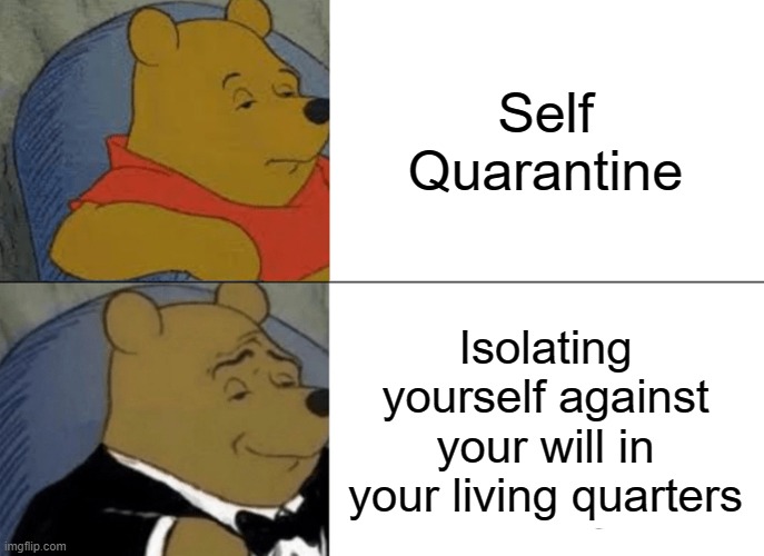 Tuxedo Winnie The Pooh Meme | Self Quarantine; Isolating yourself against your will in your living quarters | image tagged in memes,tuxedo winnie the pooh | made w/ Imgflip meme maker