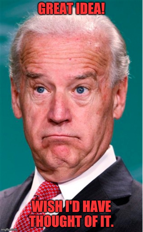 Joe Biden | GREAT IDEA! WISH I'D HAVE THOUGHT OF IT. | image tagged in joe biden | made w/ Imgflip meme maker