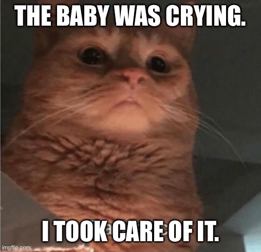 Pathetic Cat | THE BABY WAS CRYING. I TOOK CARE OF IT. | image tagged in pathetic cat | made w/ Imgflip meme maker
