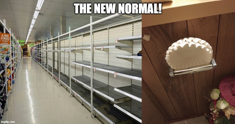 THE NEW NORMAL! | image tagged in coronavirus | made w/ Imgflip meme maker