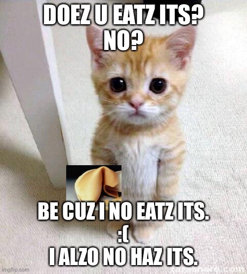 Cute Cat | DOEZ U EATZ ITS?

NO? BE CUZ I NO EATZ ITS.

:(

I ALZO NO HAZ ITS. | image tagged in memes,cute cat | made w/ Imgflip meme maker
