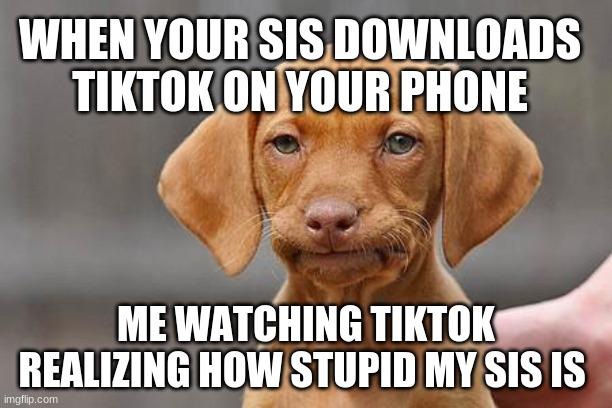 Dissapointed puppy | WHEN YOUR SIS DOWNLOADS TIKTOK ON YOUR PHONE; ME WATCHING TIKTOK REALIZING HOW STUPID MY SIS IS | image tagged in dissapointed puppy | made w/ Imgflip meme maker