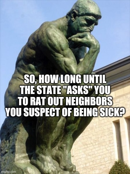 Collaborators | SO, HOW LONG UNTIL THE STATE "ASKS" YOU TO RAT OUT NEIGHBORS YOU SUSPECT OF BEING SICK? | image tagged in coronavirus,the state,human nature | made w/ Imgflip meme maker