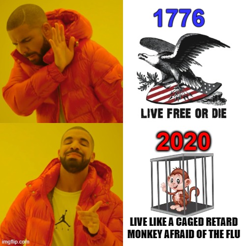 Land of the Free, Home of the Brave | 1776; 2020; LIVE LIKE A CAGED RETARD MONKEY AFRAID OF THE FLU | image tagged in memes,drake hotline bling,'murica,coronavirus,new world order,fake news | made w/ Imgflip meme maker