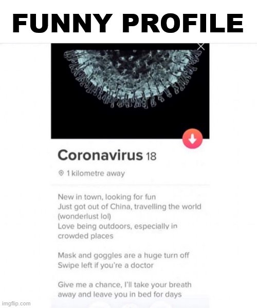 A profile someone posted on the Wuhan virus | FUNNY PROFILE | image tagged in coronavirus,wuhan | made w/ Imgflip meme maker
