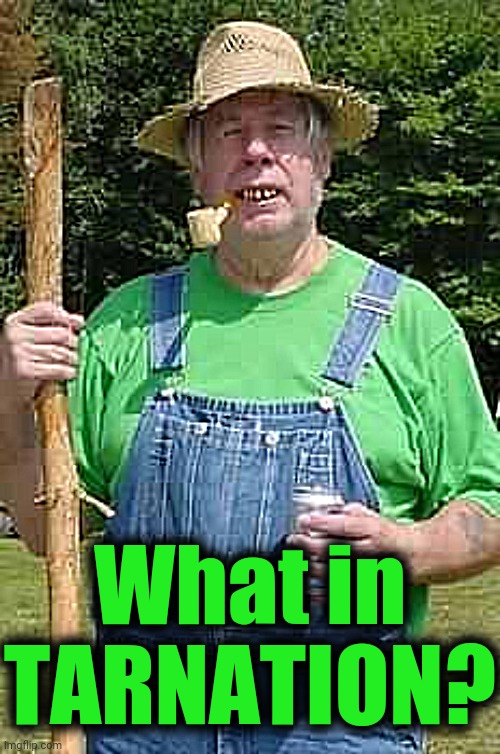 Hillbilly Pappy | What in TARNATION? | image tagged in hillbilly pappy | made w/ Imgflip meme maker