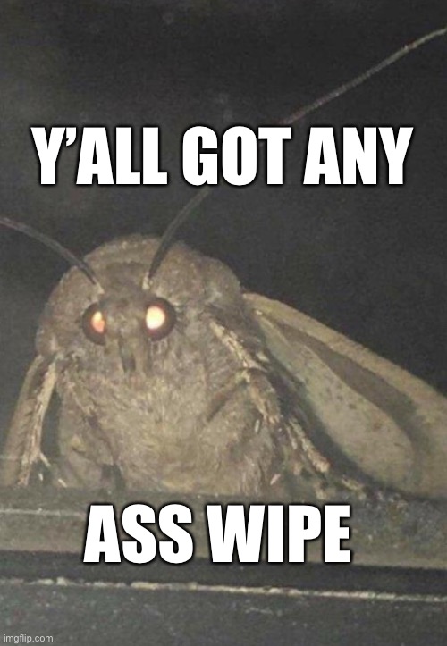Moth | Y’ALL GOT ANY; ASS WIPE | image tagged in moth,toilet paper,sheeple,logically challenged,covid-19 | made w/ Imgflip meme maker