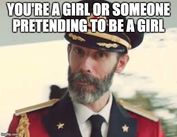 Captain Obvious | YOU'RE A GIRL OR SOMEONE PRETENDING TO BE A GIRL | image tagged in captain obvious | made w/ Imgflip meme maker