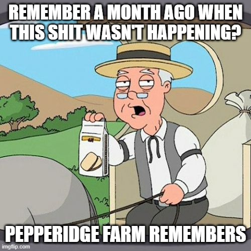 Pepperidge Farm Remembers Meme | REMEMBER A MONTH AGO WHEN THIS SHIT WASN'T HAPPENING? PEPPERIDGE FARM REMEMBERS | image tagged in memes,pepperidge farm remembers,AdviceAnimals | made w/ Imgflip meme maker