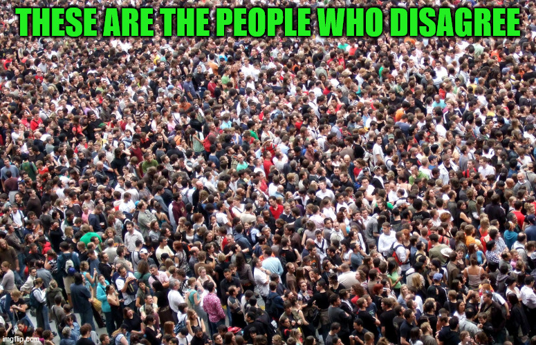 crowd of people | THESE ARE THE PEOPLE WHO DISAGREE | image tagged in crowd of people | made w/ Imgflip meme maker