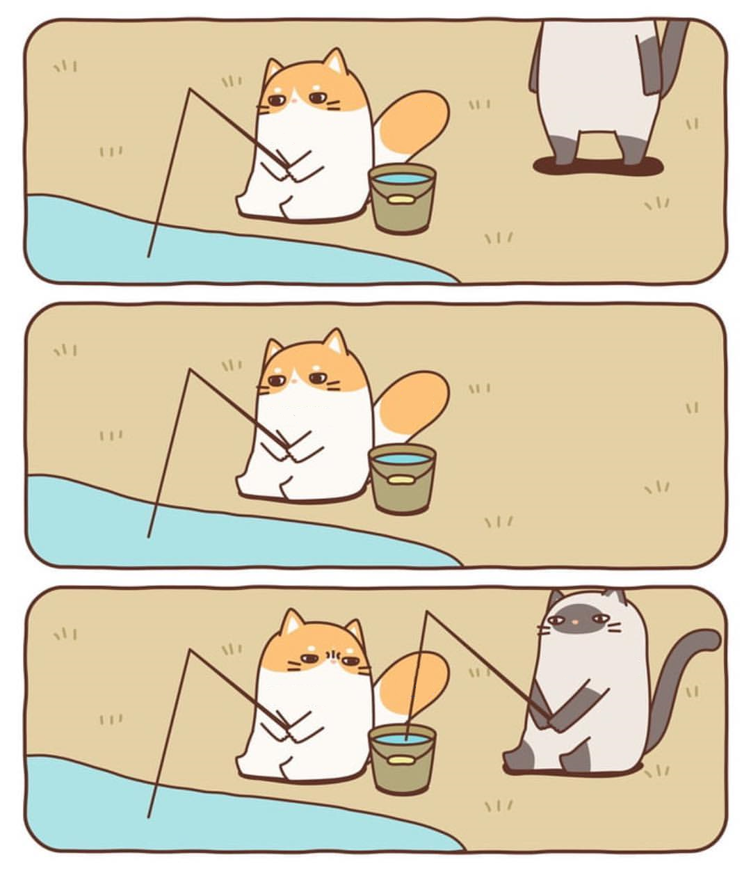 Fish-stealing cat Blank Meme Template