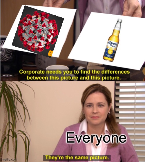 Coronavirus or Corona Beer | Everyone | image tagged in memes,they're the same picture | made w/ Imgflip meme maker