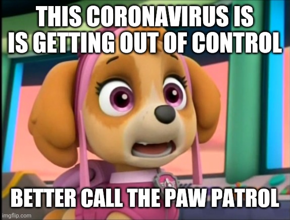 Shocked Skye | THIS CORONAVIRUS IS IS GETTING OUT OF CONTROL; BETTER CALL THE PAW PATROL | image tagged in shocked skye | made w/ Imgflip meme maker