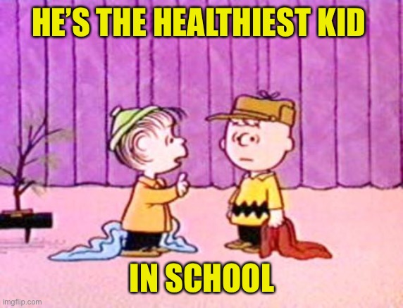 Charlie Brown and Linus | HE’S THE HEALTHIEST KID IN SCHOOL | image tagged in charlie brown and linus | made w/ Imgflip meme maker