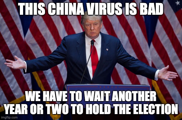 Donald Trump | THIS CHINA VIRUS IS BAD; WE HAVE TO WAIT ANOTHER YEAR OR TWO TO HOLD THE ELECTION | image tagged in donald trump | made w/ Imgflip meme maker