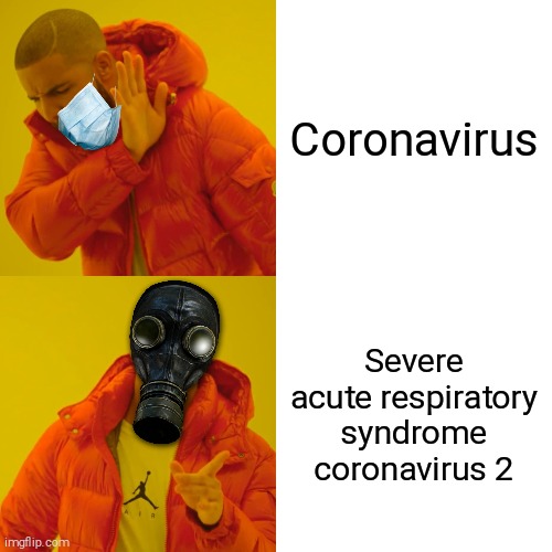 Drake & Coronavirus | Coronavirus; Severe acute respiratory syndrome coronavirus 2 | image tagged in memes,drake hotline bling | made w/ Imgflip meme maker