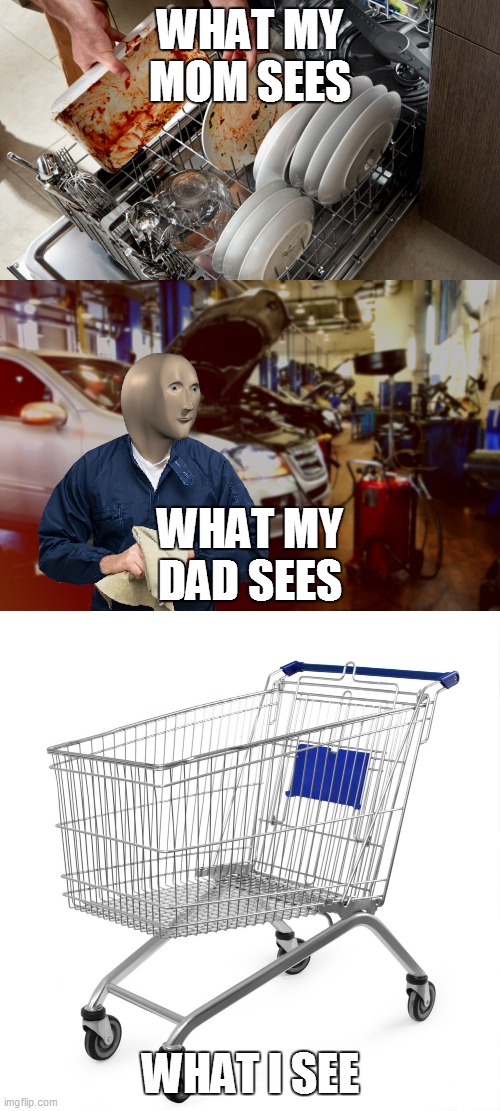 WHAT MY MOM SEES; WHAT MY DAD SEES; WHAT I SEE | image tagged in mecanic | made w/ Imgflip meme maker