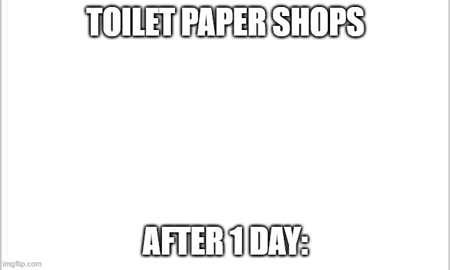 white background | TOILET PAPER SHOPS; AFTER 1 DAY: | image tagged in white background | made w/ Imgflip meme maker